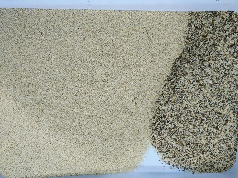 CCD sesame/soybean/sorghum/millet/wheat/corn/maize/white 쌀 색채 선별기 기계