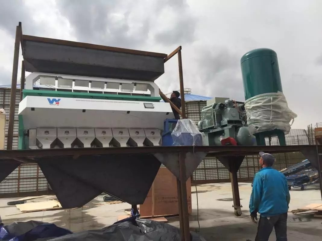 지적인 PP PVC PE PET ABS HDPE ＬＤＰＥ 플라스틱 플레이크 광학 CCD 색채 선별기