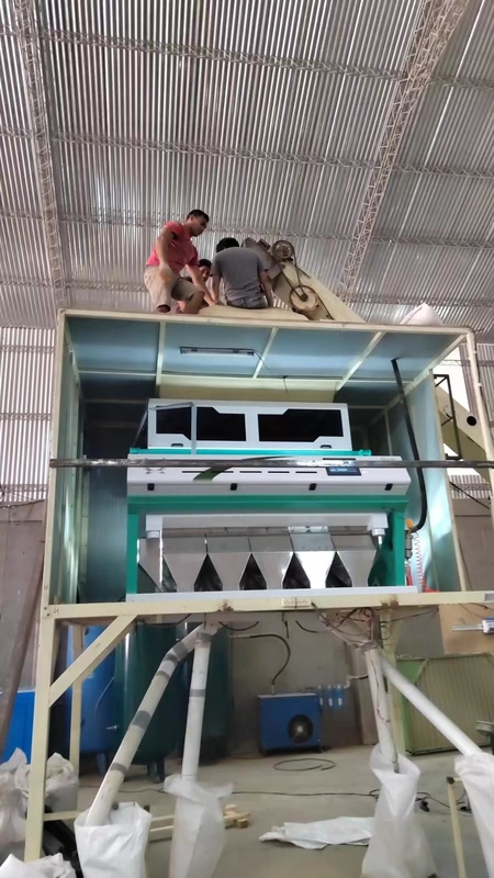 웬야오 HDPE ＬＤＰＥ PP ABS 재질 색채 선별기 기계 99.9% 정확도
