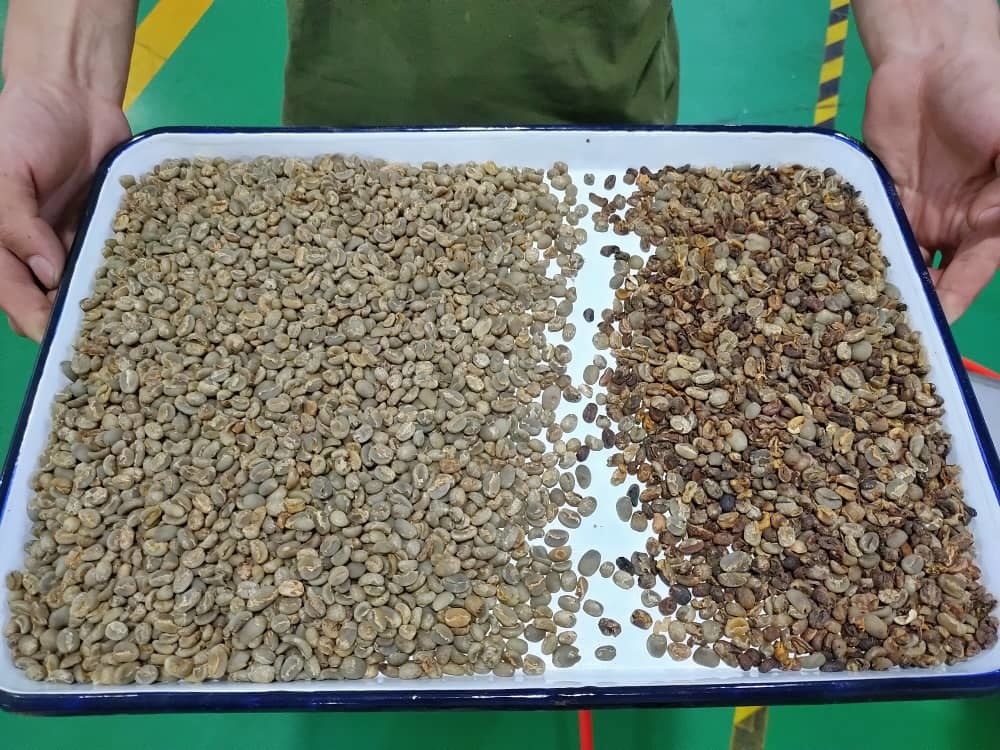 식품 산업을 위한 500 kg/H 다기능 색채 선별기 기계 쌀 광학식선별기