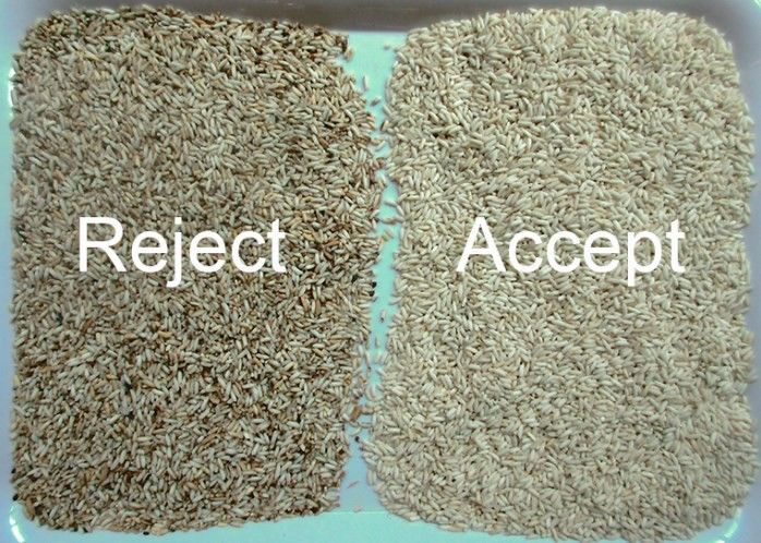 웬야오 얇은 분류 쌀 분류 작업에 대한 다채색 탐지 색상 분류 기계 파워볼린 쌀 긴 곡물