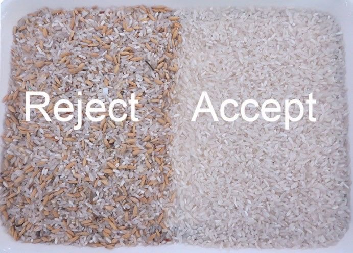 웬야오 얇은 분류 쌀 분류 작업에 대한 다채색 탐지 색상 분류 기계 파워볼린 쌀 긴 곡물