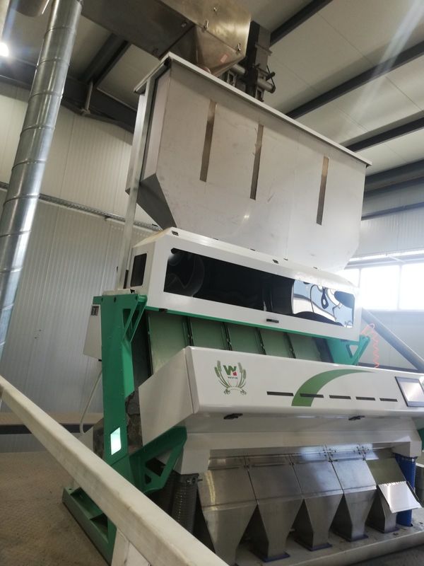 5개의 슈트 곰팡이가 핀 밀 색깔 분류기, 곰팡이 밀 제거를 위한 밀을 위한 분류기 기계