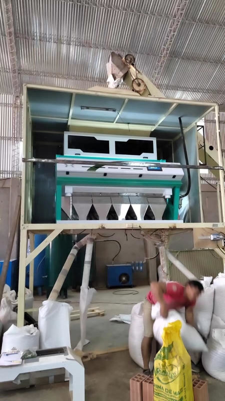 5 차트 곰팡이 밀 색상 분류기 밀 곰팡이를 제거하는 밀 광학 곡물 색상 분류기 밀 등급 분리기