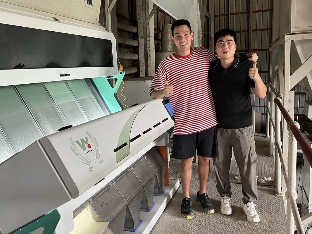 5개의 슈트 곰팡이가 핀 밀 색깔 분류기, 곰팡이 밀 제거를 위한 밀을 위한 분류기 기계