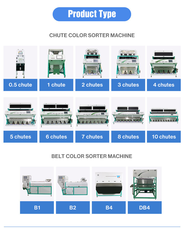 자동 RGB 정렬 기계 알몬드 색상 정렬기