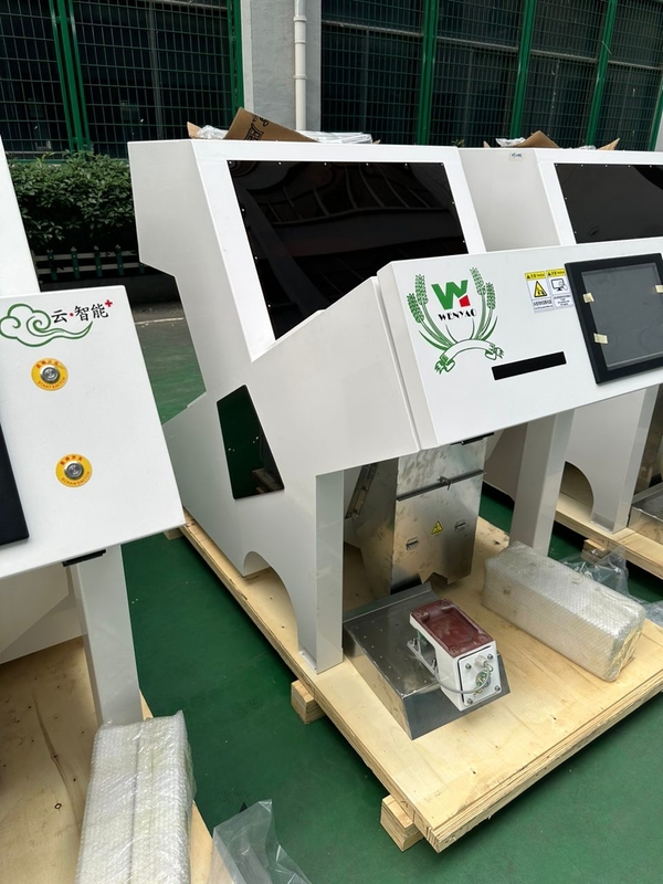 광적 분류 기계 곡물 씨앗 땅콩 곡물 광적 색상 분류 기계 CCD RGB 카메라 색상 분류기