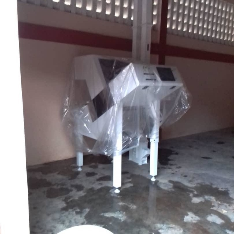 Wenyao 지능형 광학 색상 분류기 쌀 색상 분류기