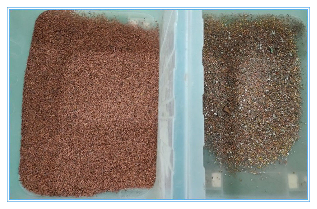 고 정밀 구리 알루미늄 컬러 분리 벨트 타입 녹색 갈색 유리 컬러 분류기