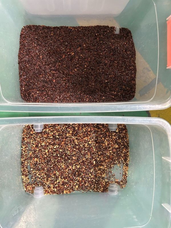 자동 커피 콩 땅콩 색 분류기 색 분리기 콩 분류기 중국