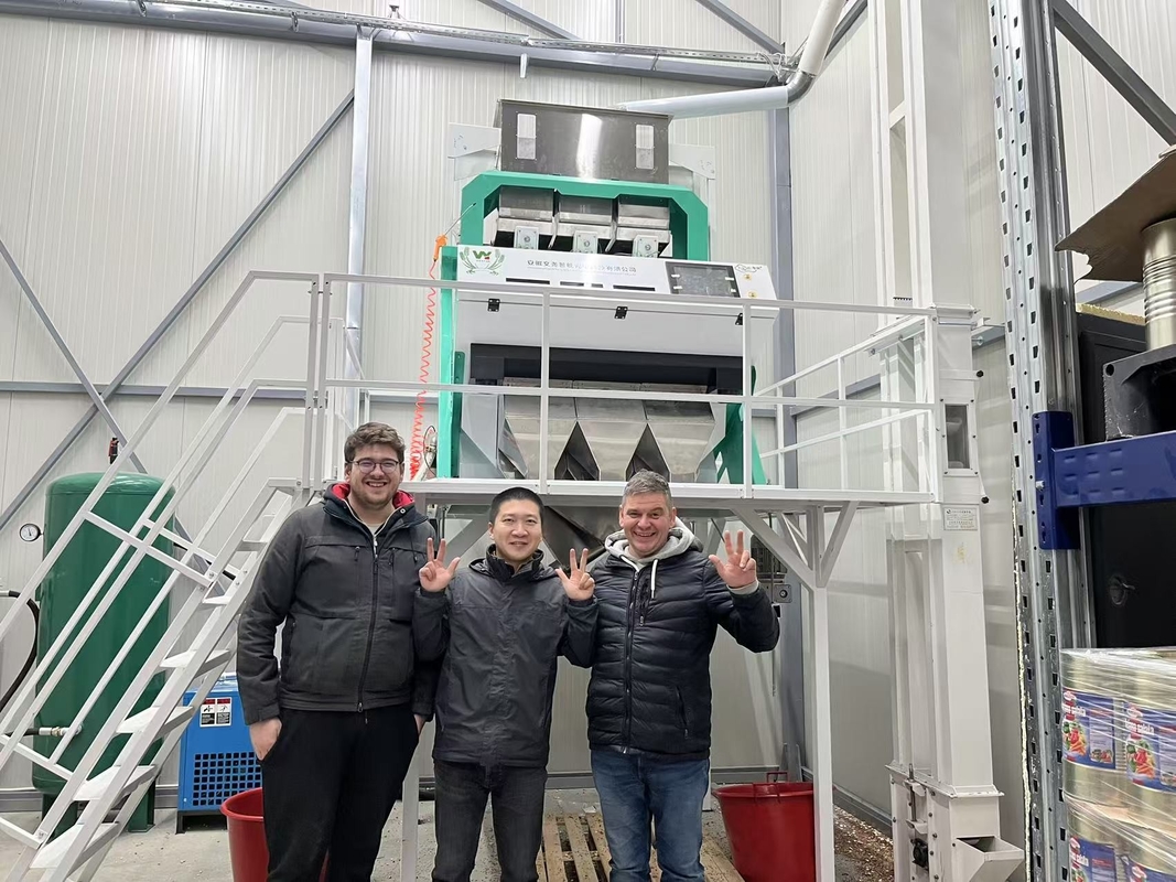 50-8000kg/h 커피 콩 쌀 가린 플라스틱 디지털 블루베리 색상 분류기 견과류 차 색상 분류기 색상 분류기