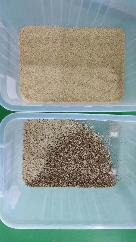 웬야오 500~1500kg/h 커피 콩 쌀 바늘 색상 광적 분류 곡물 색상 분류 기계