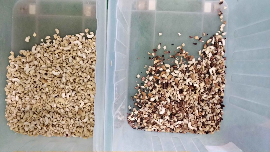 웬야오 자동 캐시우넛 컬러 서터 다기능 견과류 컬러 서팅 기계