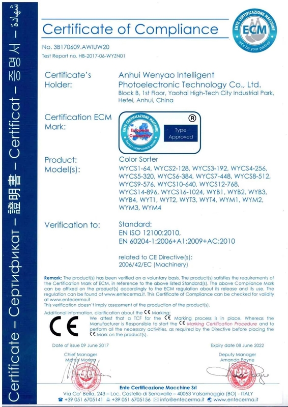 10 T/H 옥수수 색상 정렬 기계 옥수수 색상 정렬 및 청소 기계