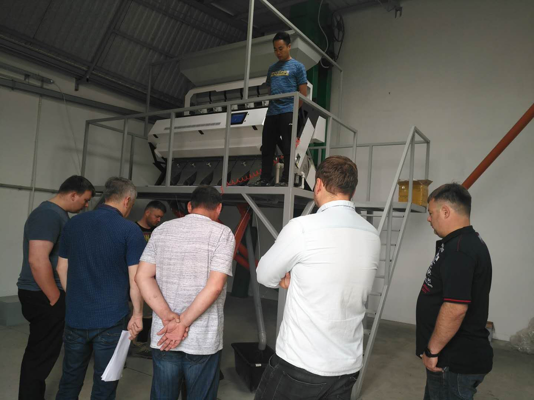 웬야오 쌀 색조 분류기 쌀 분류기 3700W