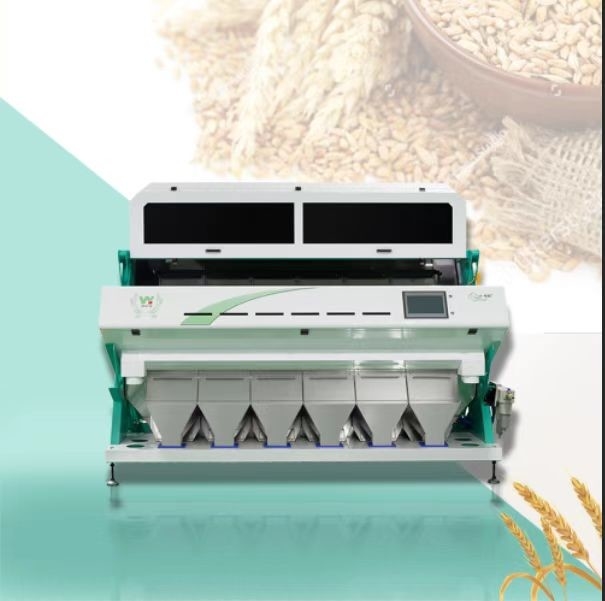 백밀 곡물 광적 색상 분류기 커피 정화 색상 분류기 색상 분류기 세분 분류기 밀 보리 옥수수
