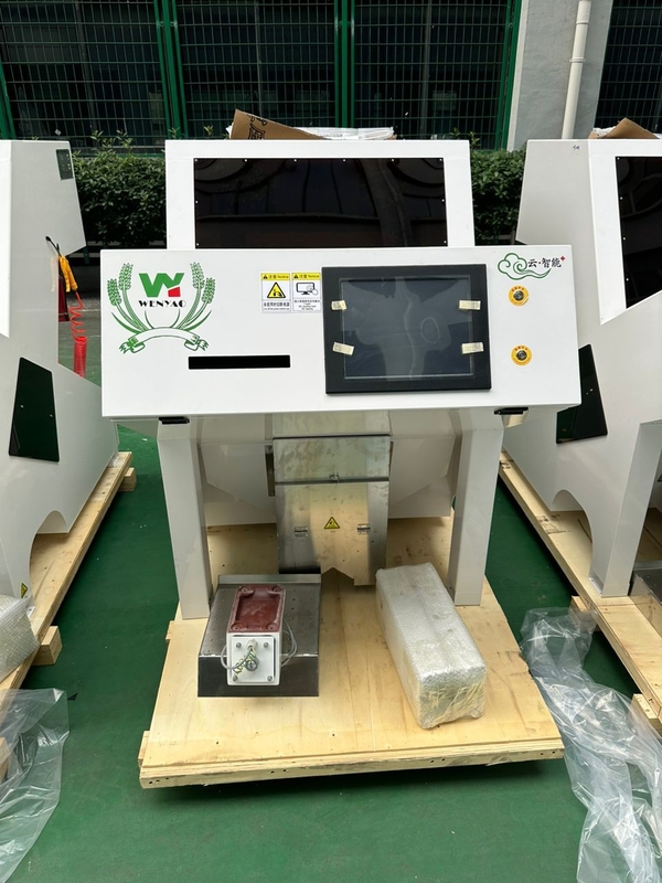 2025 가장 최신 모델 밀 쌀 소르고 곡물 CCD 색상 분류 기계