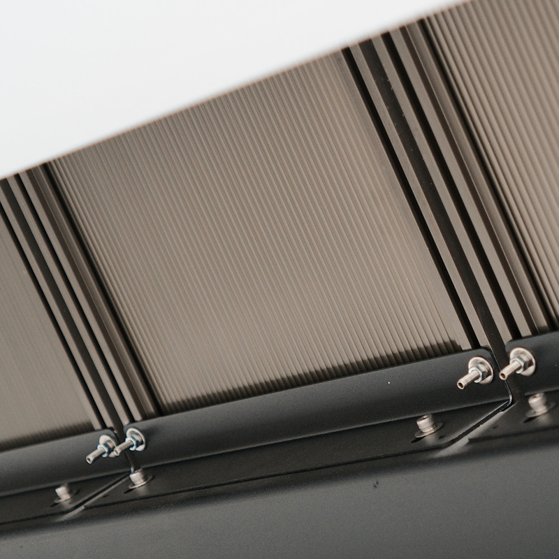 높은 정확성 CCD 카메라 작은 햇꽃 씨앗/넛 색상 분류기 색상 분류 기계