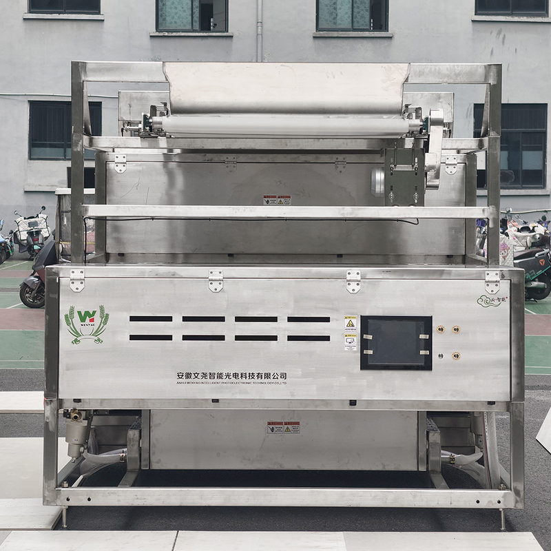 1200mm 벨트 방수 스테인레스 스틸 올리브 컬러 분류 기계 냉동 딸기 컬러 분류기