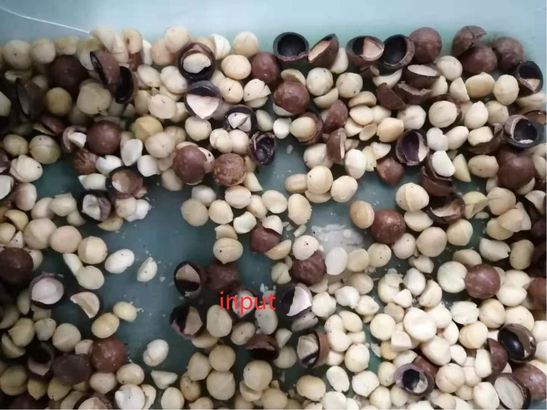 큰 용량 마카다미아 견과류 분류 기계 피스타치오 견과류 껍질 기계 알몬드 분쇄 기계 색상 분류기