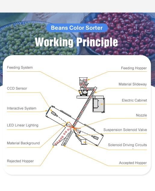 곡물 가공 쌀 색상 분류기 광학 낙하산 유형