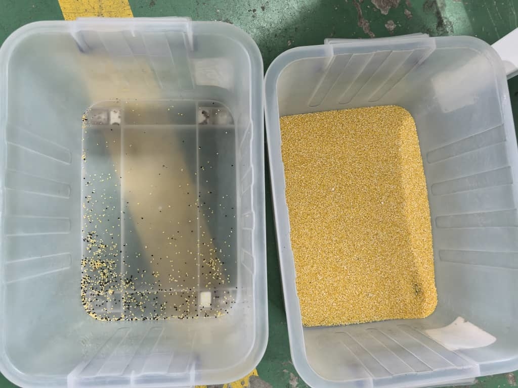 2채널 고정도 피치  gomme 곡물 컬러 분리기 아랍 오리바누움  gomme 컬러 분류 기계