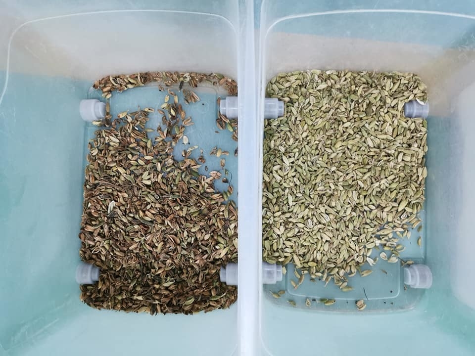 웬야오 5 차트 중국 공장 광학 분류기 카다몬 콩 컬러 분류기