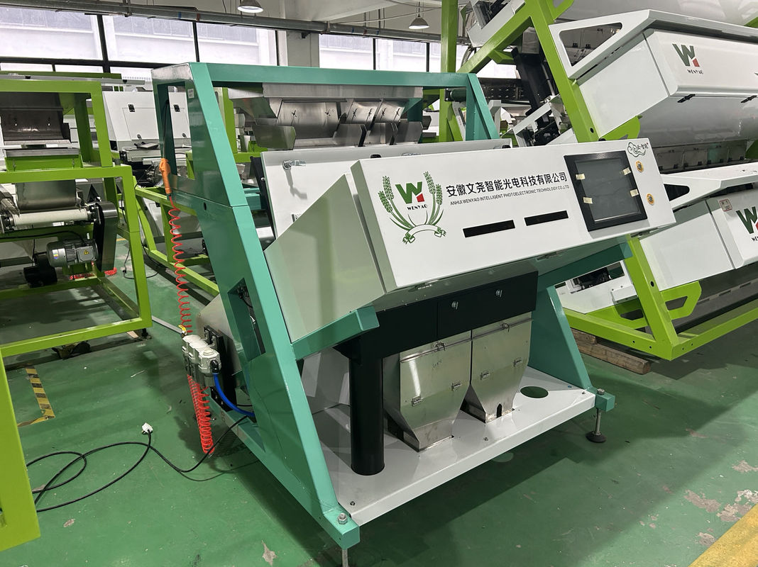 정확도 복숭아 검 분리기 아라비아 유향 검 색상 선별기