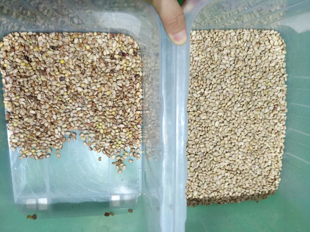 웬야오 광학 고성능 선별기 콩팥콩 브라질콩 색상 선별기