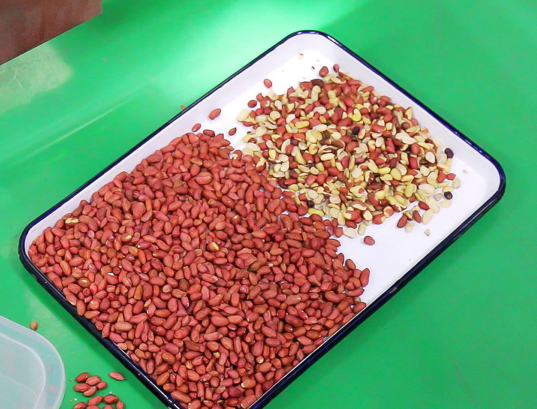 전문적인 땅콩 색상 선별기 껍질 벗기는 땅콩 CCD 색상 선별기