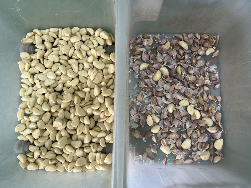 간편한 작동 벨트식 광물 원석 색상 선별기 기계 원석 색상 분류기