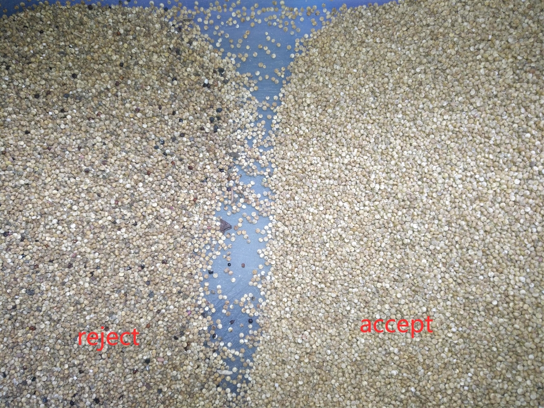 2000Kg/h 페루 퀴노아 광적 분류기 풀 컬러 CCD 분류기 안데스 곡물 분류기