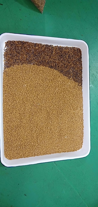 2000Kg/h 페루 퀴노아 광적 분류기 풀 컬러 CCD 분류기 안데스 곡물 분류기