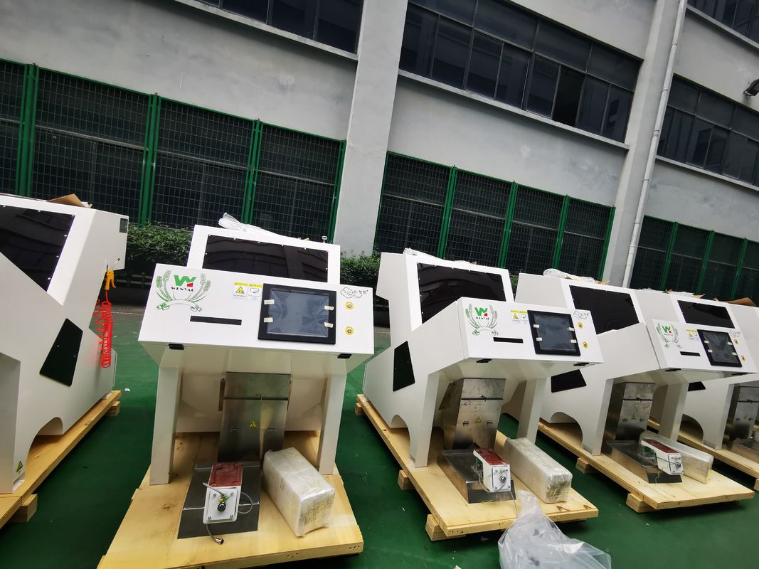 Wenyao 2025 Newest Chinese Factory Optical Ccd Color Sorter Almond Pistachio Cocoa Nut Color Sorting Machine