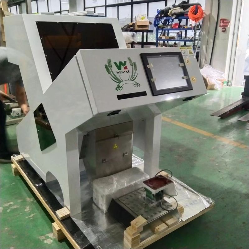 WENYAO 1 차트 광학 색상 정렬 기계 탈수 된 건조 된 가시나무 색상 정렬기