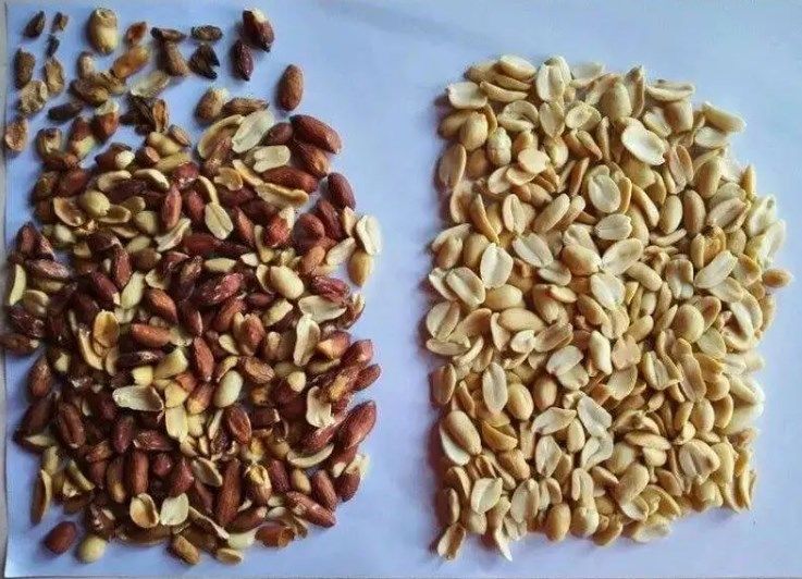 웬야오 다기능 풀 컬러 고체촬상소자카메라 색선별기 아몬드 핵심 색채 선별기