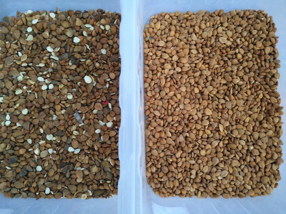 웬야오 다기능 풀 컬러 고체촬상소자카메라 색선별기 아몬드 핵심 색채 선별기