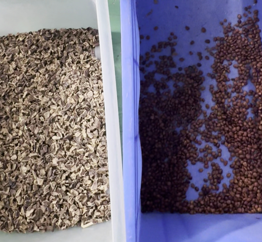 웬야오 더블 벨트 고기술 지능형 CCD 카메라 소프베리 컬러 서터 머신