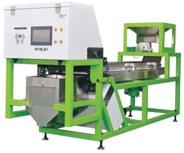 웬야오 자동 색 분리 신선한 블루베리 쥬니퍼 베리 색상 분류 기계