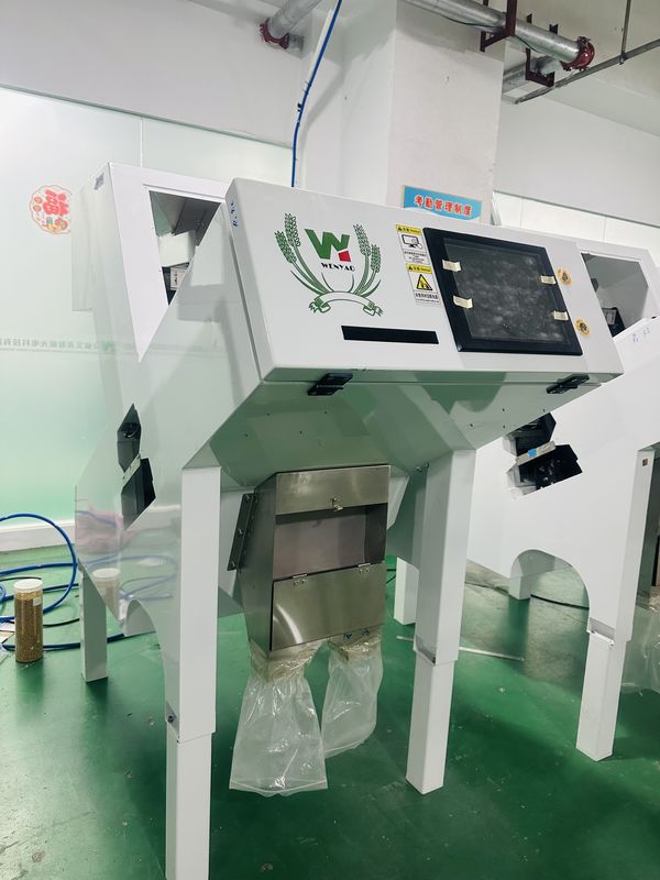 웬야오 자동 블랙 페퍼 컬러 분류 기계