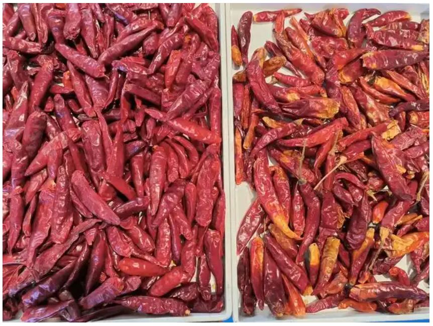 좋은 가격 광학 지능형 비전 칠리 분류 기계 광물 석탄 연료 색상 분류기