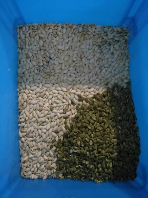 웬야오 와이파이 원격 제어 선플라워 씨앗 거북이 씨앗 색상 분류기 2 년 보증 및 산업 가공용 솔레노이드 밸브