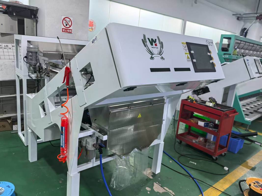 Intelligent Optical Coffee Cherries Color Sorter Cocoa Beans Sorting Machine Coffee Bean Color Sorter