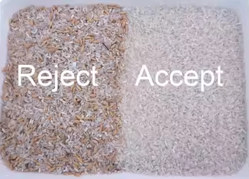 다기능 견과류 캐슈넛 땅콩 월넛 헤즐넛 색상 분류기 땅콩 헤즐넛 색상 분리 기계