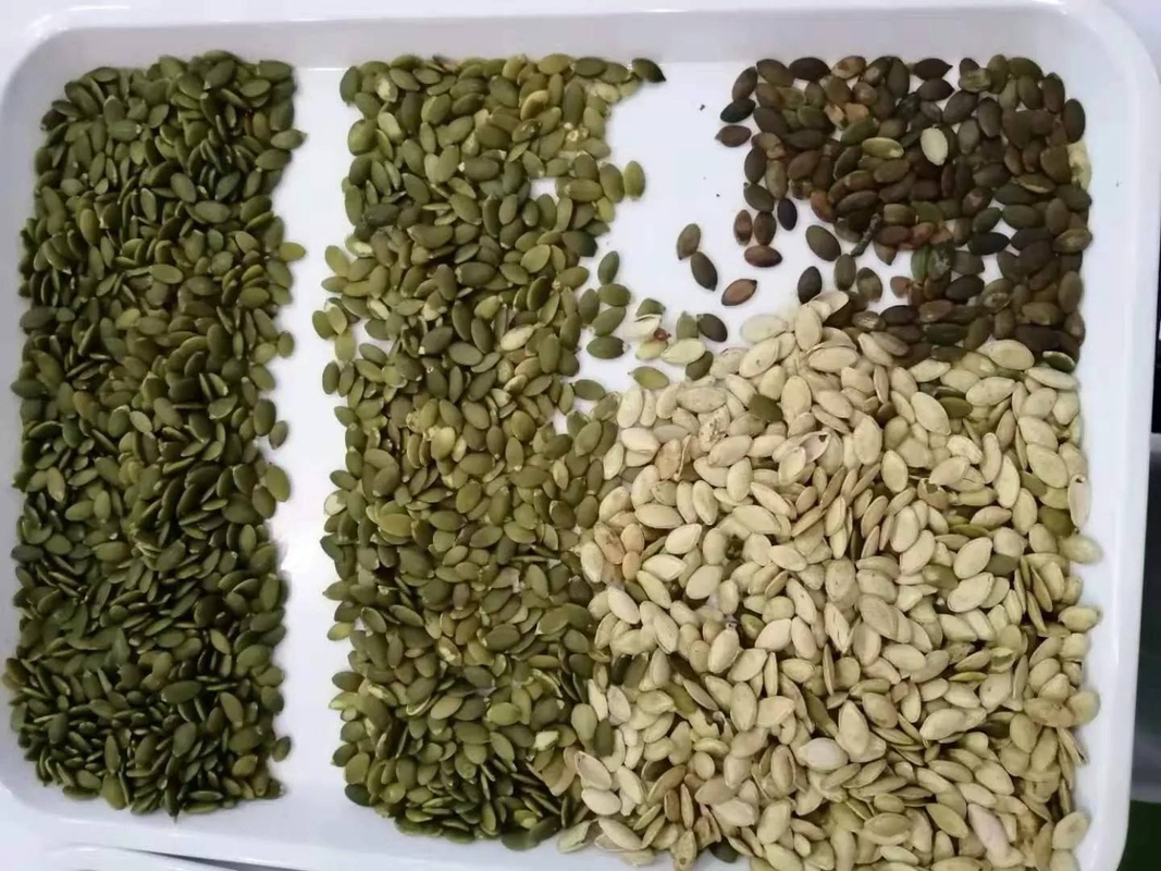 파라보일드 쌀 옐로우 기장 색상 선별기 5개 슈트 분리 기계 밀 색상 선별기