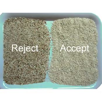 지능형 쌀 색 분류기 노란 밀레 옥수수 색 분류 기계 밀콩 고정 4 채널