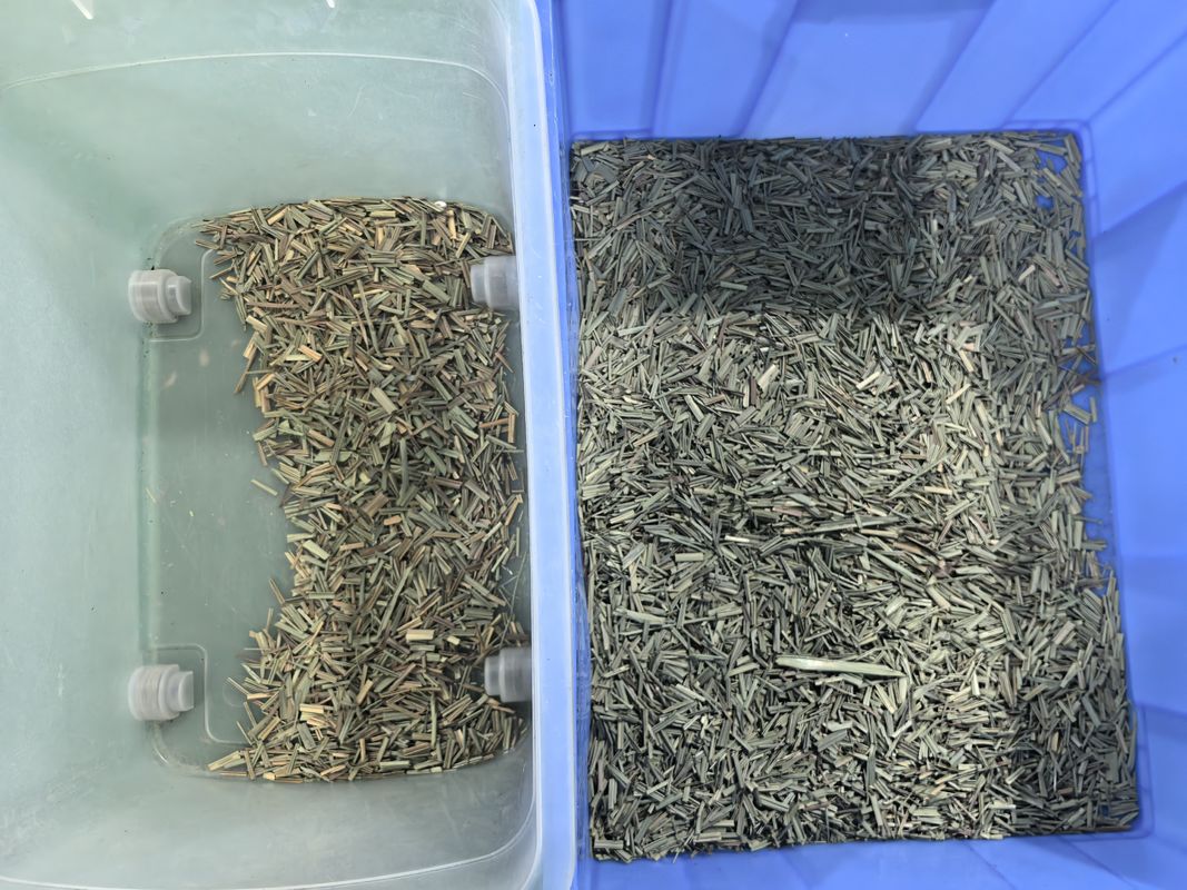 WENYAO CCD 향신료 색상 분류기 광학 레몬그라스 색상 분류 기계 공장 가격