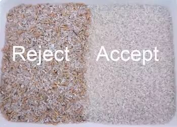 땅콩, 아몬드, 월넛에 대한 자동 색상 분류기 고정도의 지능형 색상 분류 기계