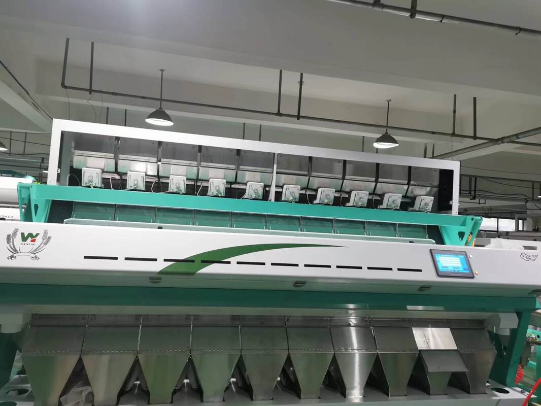 웬야오 바닷나무 아이 컬러 서터 머신 과일 서팅 빨간 콩 호넛 커널 바스마티 쌀 렌즈 커피 씨앗 색상