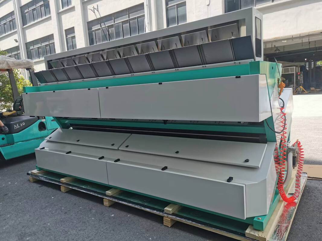 웬야오 바닷나무 아이 컬러 서터 머신 과일 서팅 빨간 콩 호넛 커널 바스마티 쌀 렌즈 커피 씨앗 색상